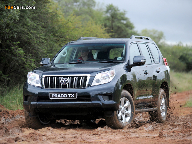 Pictures of Toyota Land Cruiser Prado TX 5-door ZA-spec (150) 2009 (640 x 480)