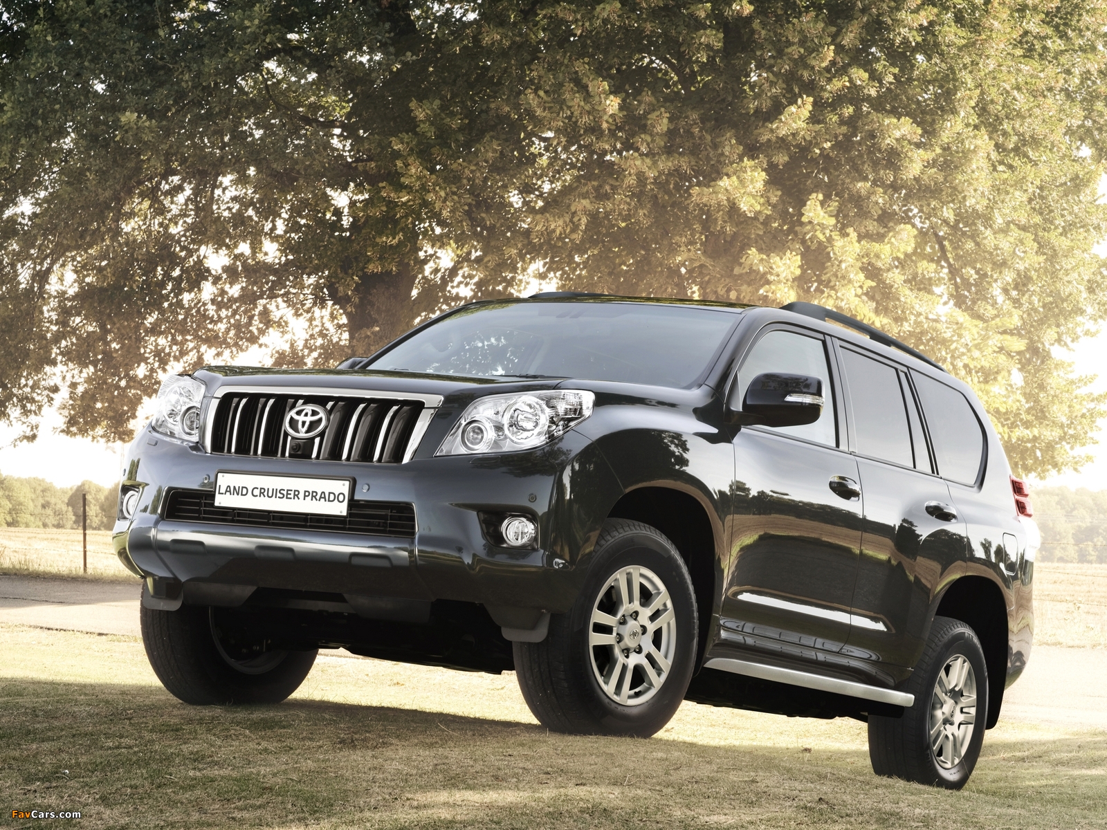 Toyota Land Cruiser Prado 5-door (150) 2009 images (1600 x 1200)