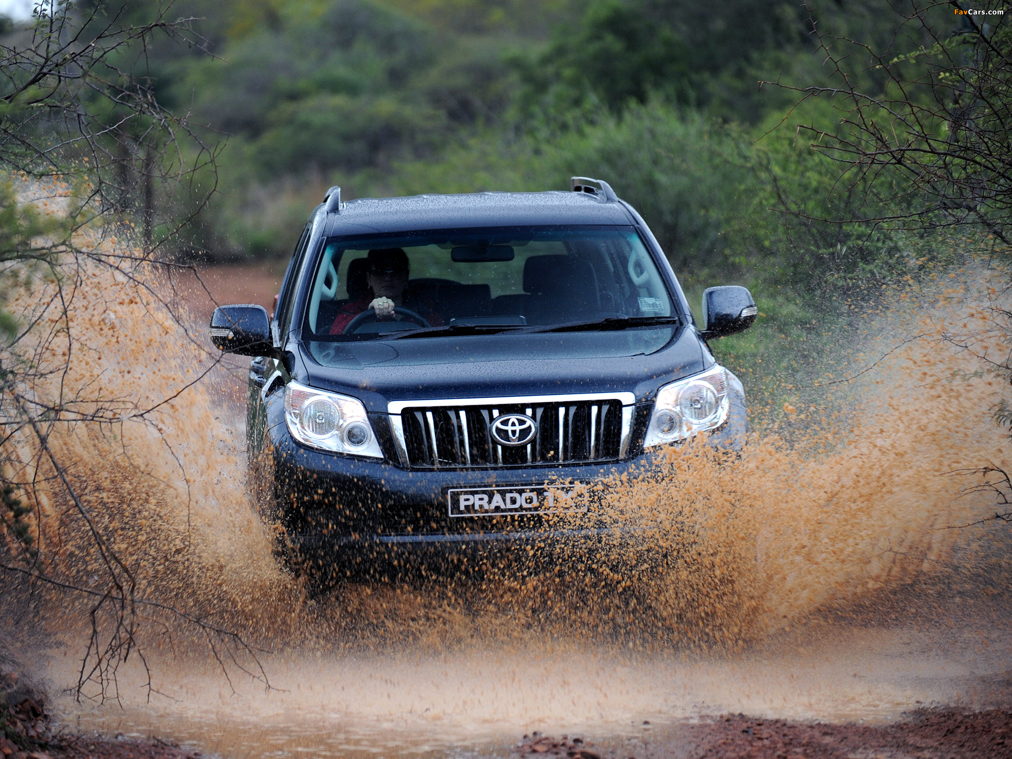 Toyota Land Cruiser Prado TX 5-door ZA-spec (150) 2009 photos (2048 x 1536)