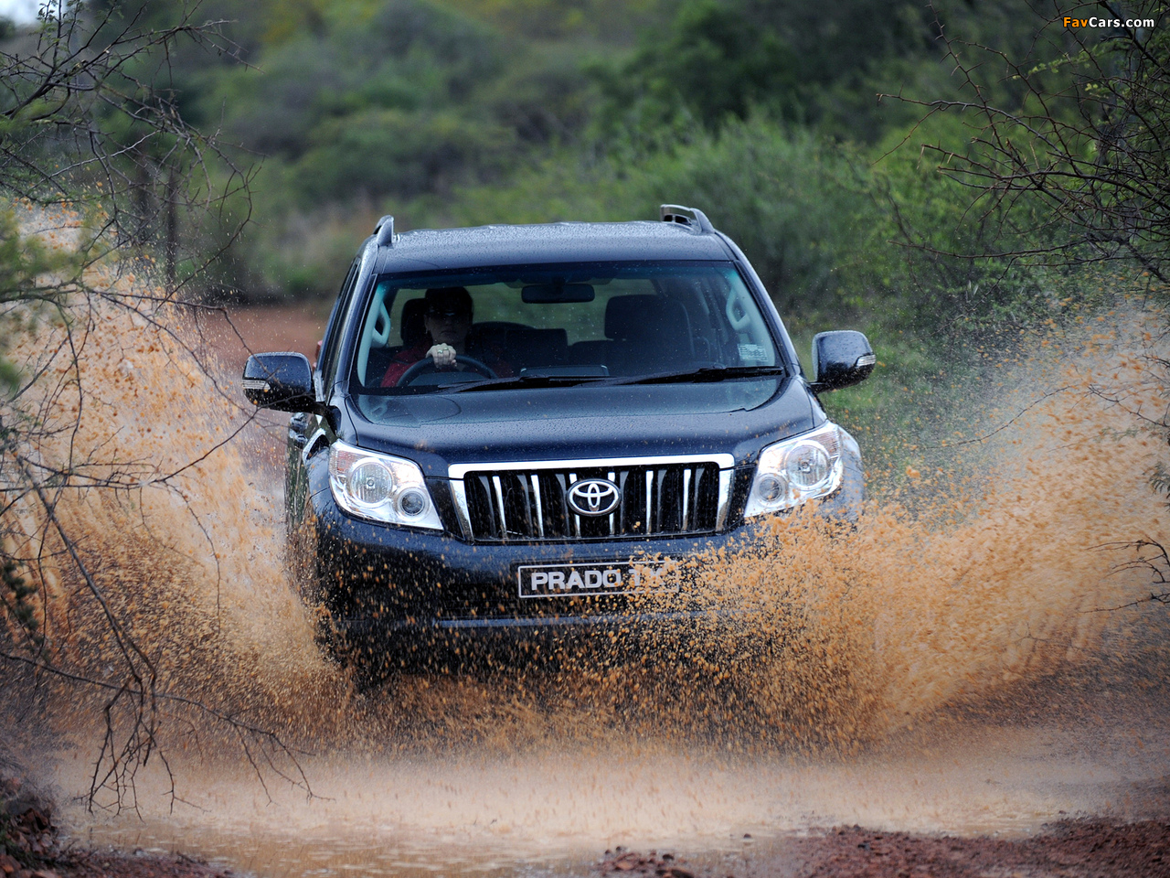 Toyota Land Cruiser Prado TX 5-door ZA-spec (150) 2009 photos (1280 x 960)