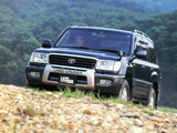 Photos of Toyota Land Cruiser 100 VX Active Vacation (UZJ100W) 2000–02