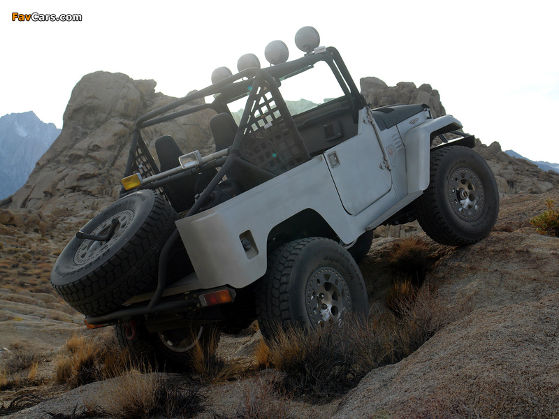 Photos of ICON Toyota Land Cruiser BAJA 1000 Limited Edition (FJ40) 2008 (800 x 600)