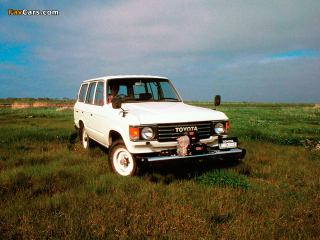 Pictures of Toyota Land Cruiser 60 STD (HJ60V) 1980–87 (640 x 480)