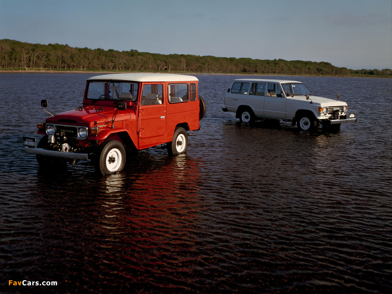 Pictures of Toyota Land Cruiser (800 x 600)