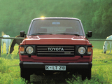 Toyota Land Cruiser 60 Wagon (HJ60V) 1980–87 images