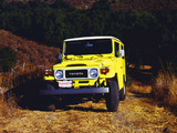 Toyota Land Cruiser (BJ40VL) 1973–79 pictures