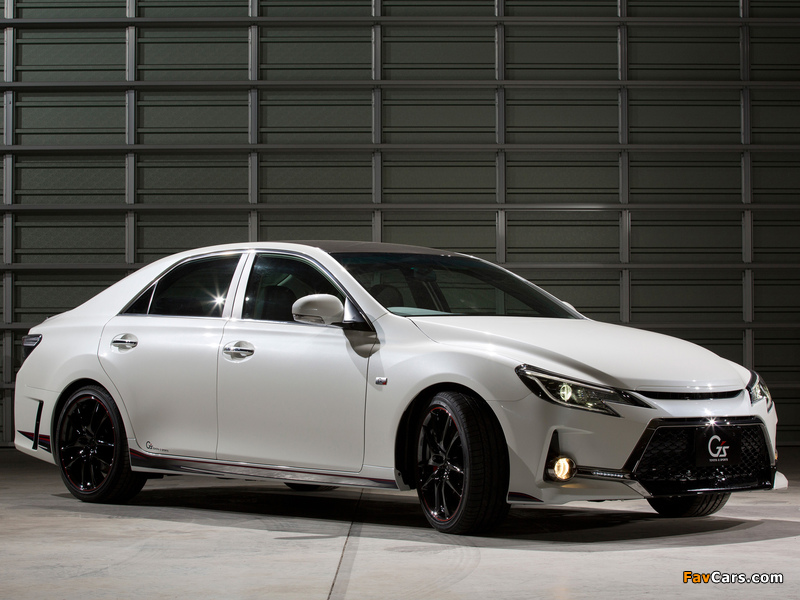 Images of Toyota Mark X G Sports Carbon Roof Concept (GRX140) 2013 (800 x 600)