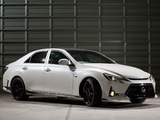 Images of Toyota Mark X G Sports Carbon Roof Concept (GRX140) 2013