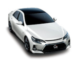 Toyota Mark X 350 S Gs Carbon Roof Version (GRX140) 2013 images