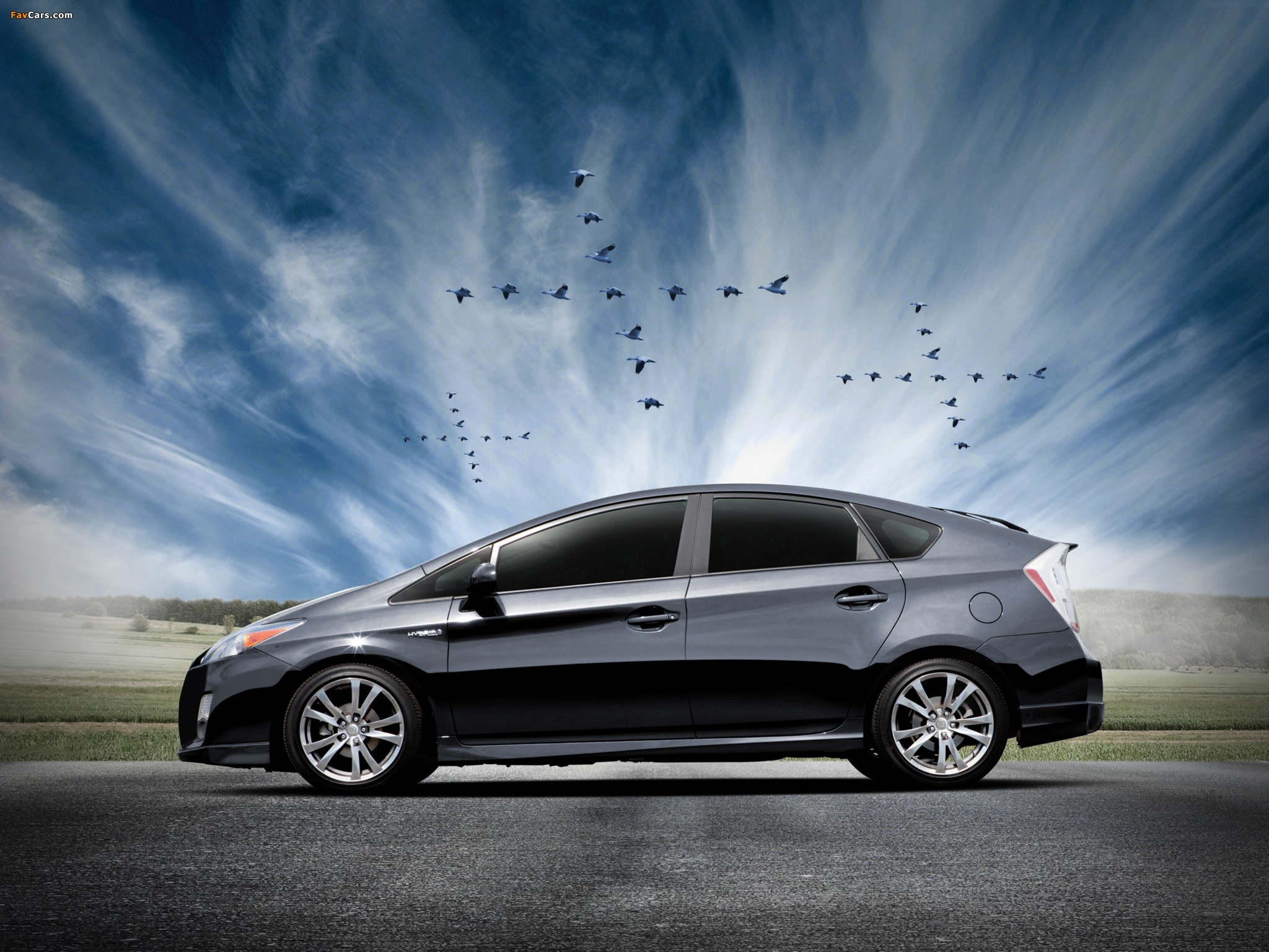Images of Toyota Prius PLUS Performance Package (ZVW30) 2011 (2048 x 1536)