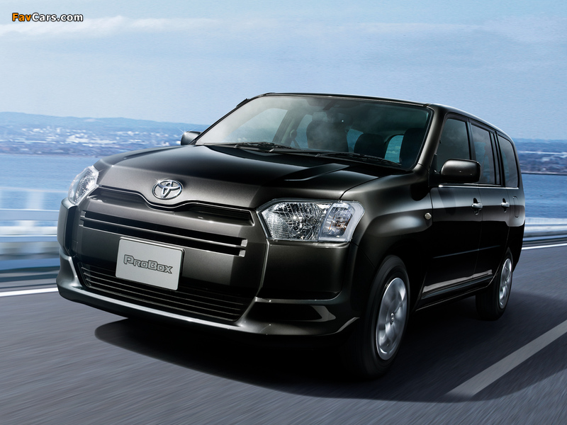 Pictures of Toyota Probox Wagon (CP50) 2014 (800 x 600)