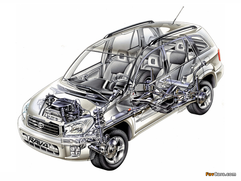 Images of Toyota RAV4 5-door 2003–05 (800 x 600)