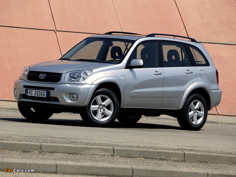 Images of Toyota RAV4 5-door 2003–05 (800 x 600)