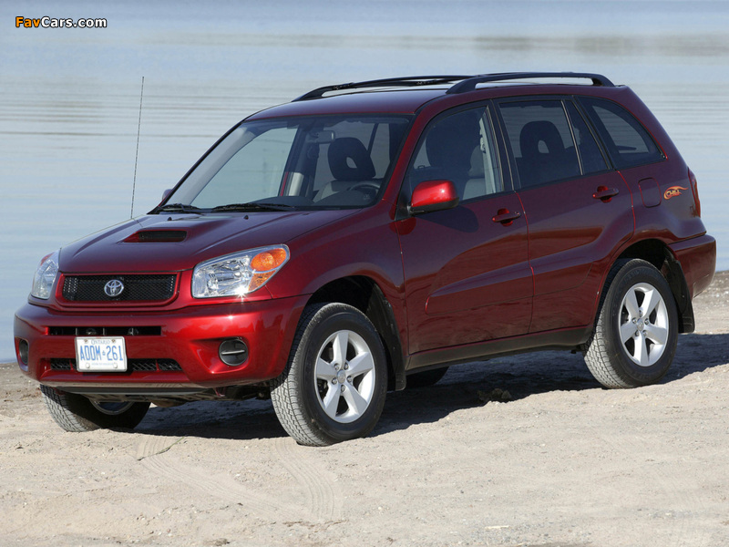 Images of Toyota RAV4 Chili 2004–05 (800 x 600)