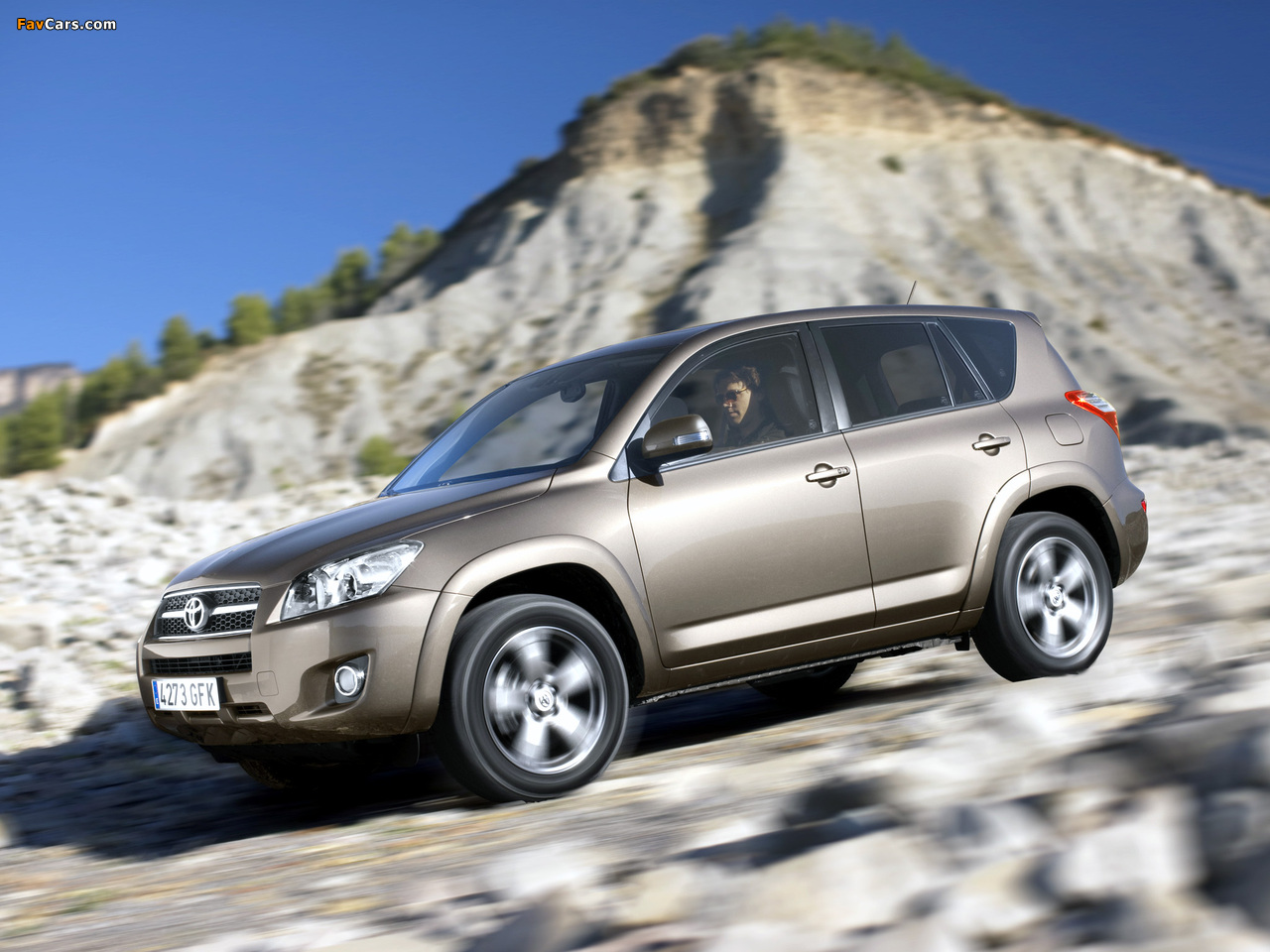 Photos of Toyota RAV4 2008–10 (1280 x 960)