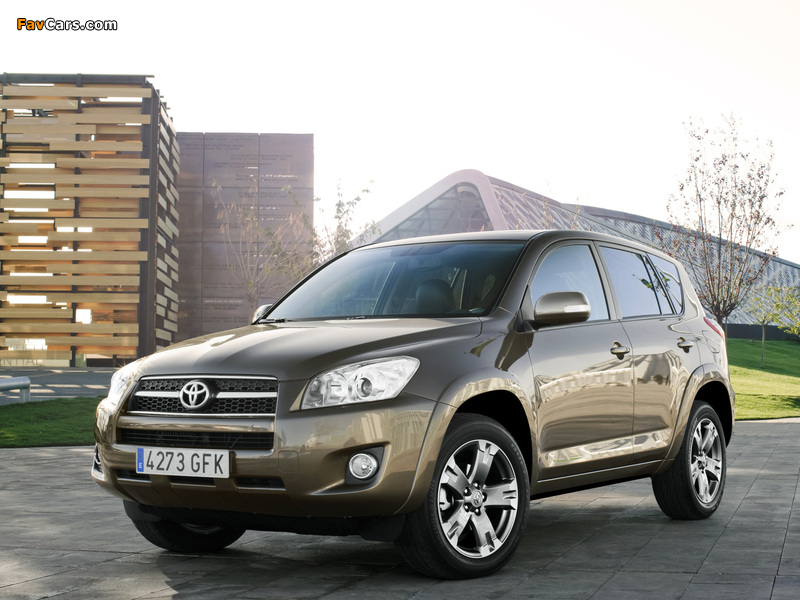 Photos of Toyota RAV4 2008–10 (800 x 600)