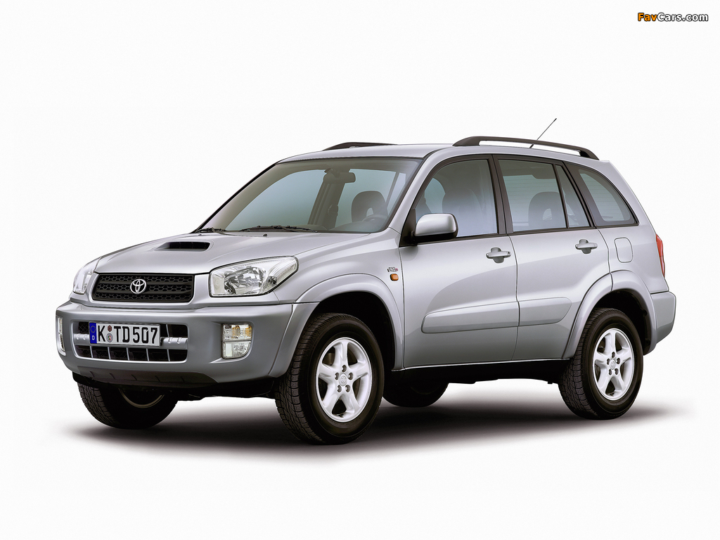 Pictures of Toyota RAV4 5-door 2000–03 (1024 x 768)