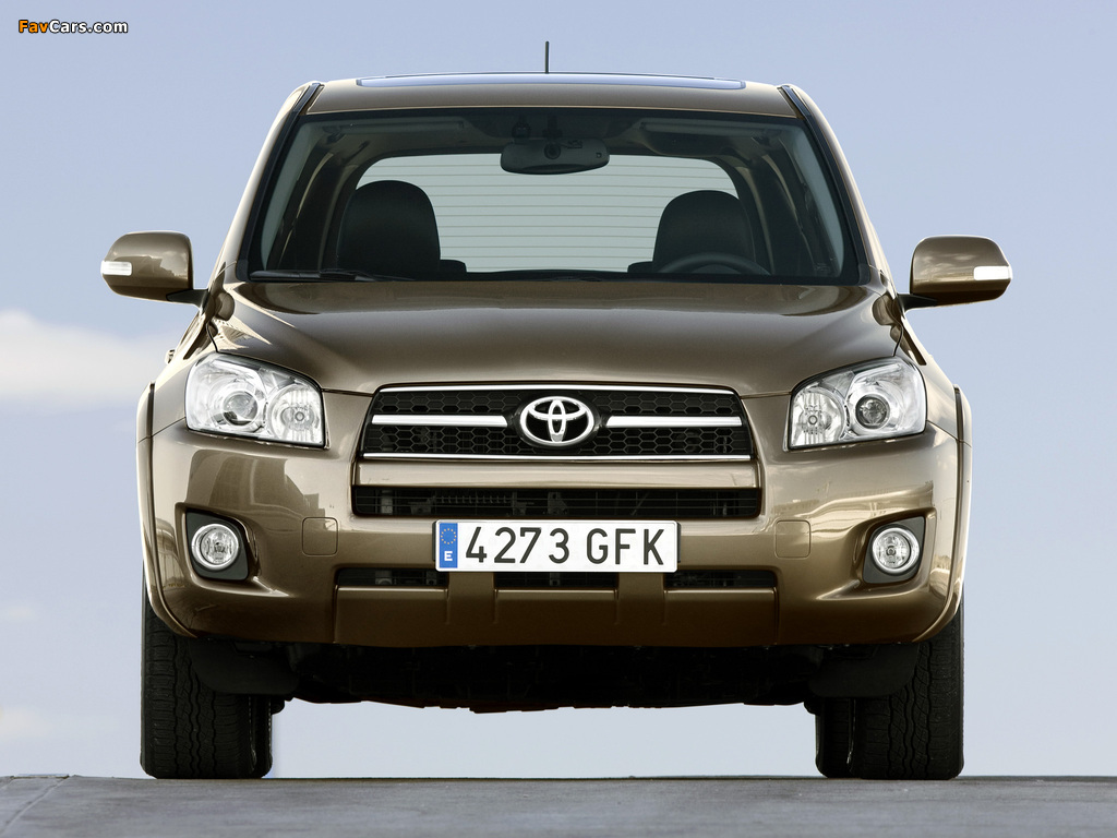 Pictures of Toyota RAV4 2008–10 (1024 x 768)