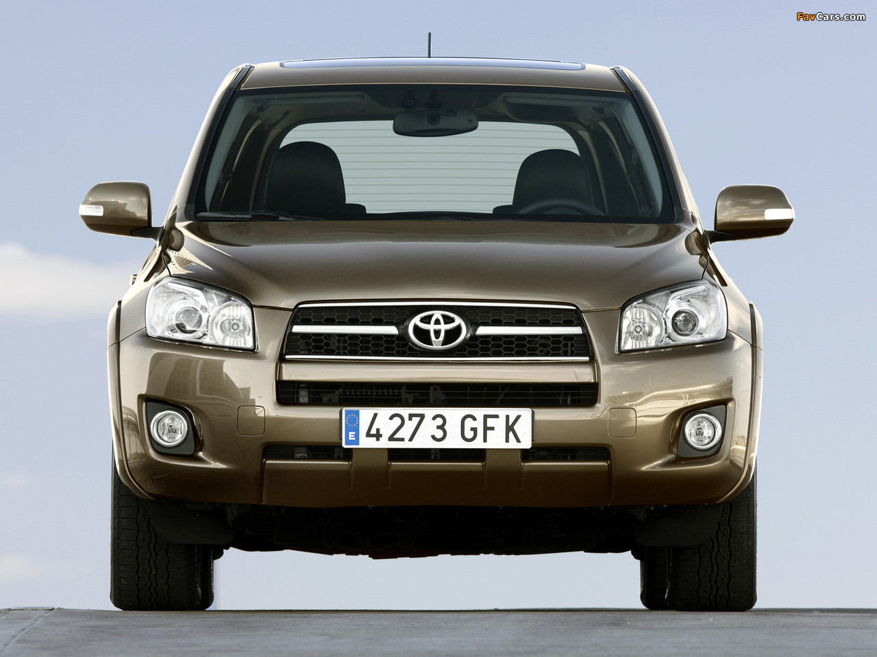 Pictures of Toyota RAV4 2008–10 (1280 x 960)