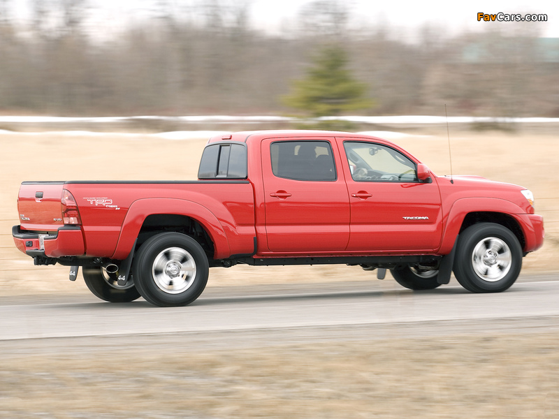 Images of TRD Toyota Tacoma Double Cab Sport Edition 2006–12 (800 x 600)