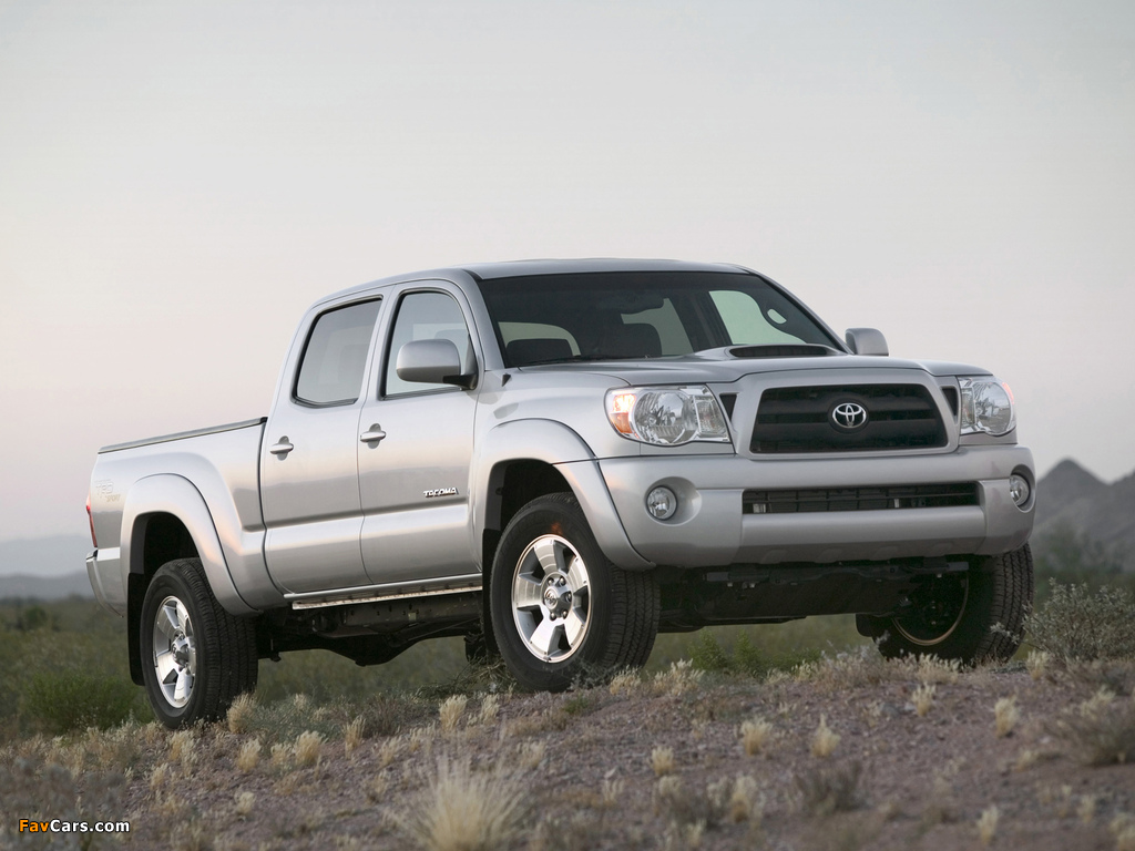 Images of TRD Toyota Tacoma Double Cab Sport Edition 2006–12 (1024 x 768)