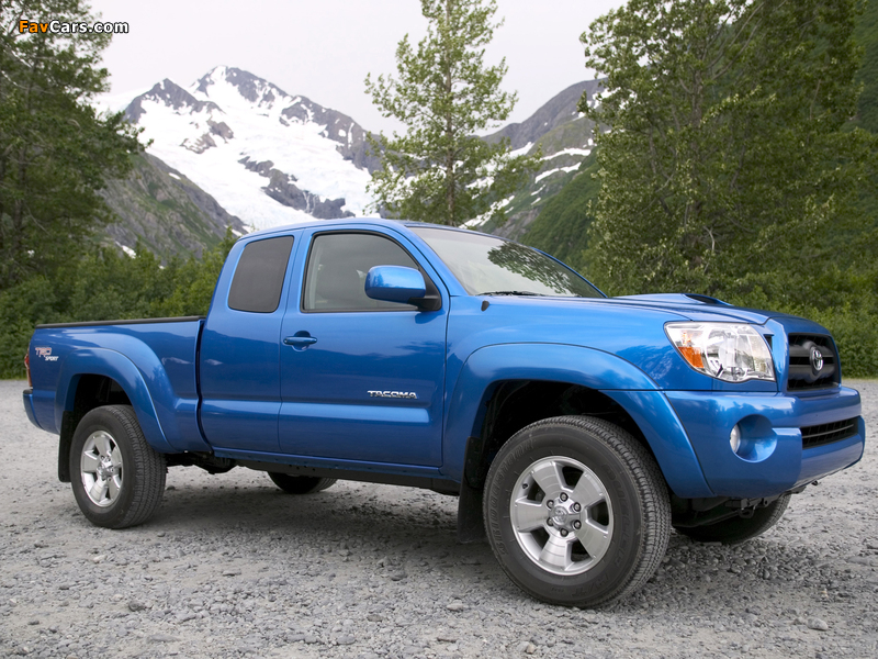 Pictures of TRD Toyota Tacoma Access Cab Sport Edition 2005–12 (800 x 600)