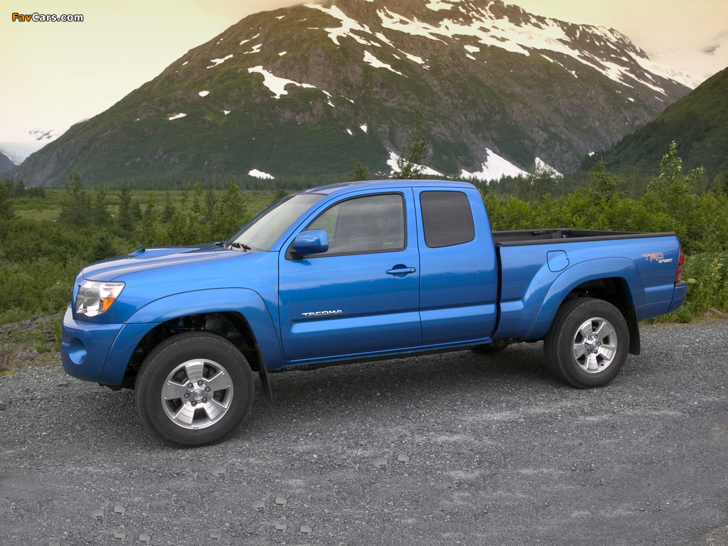 Pictures of TRD Toyota Tacoma Access Cab Sport Edition 2005–12 (1024 x 768)