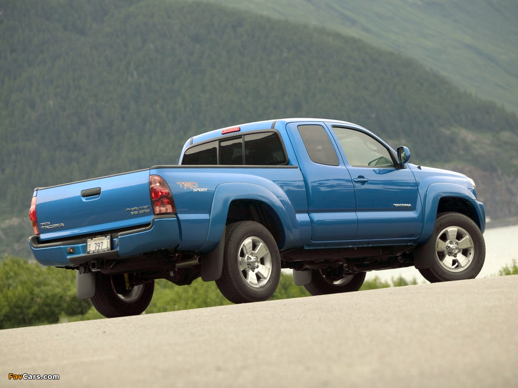 Pictures of TRD Toyota Tacoma Access Cab Sport Edition 2005–12 (1024 x 768)