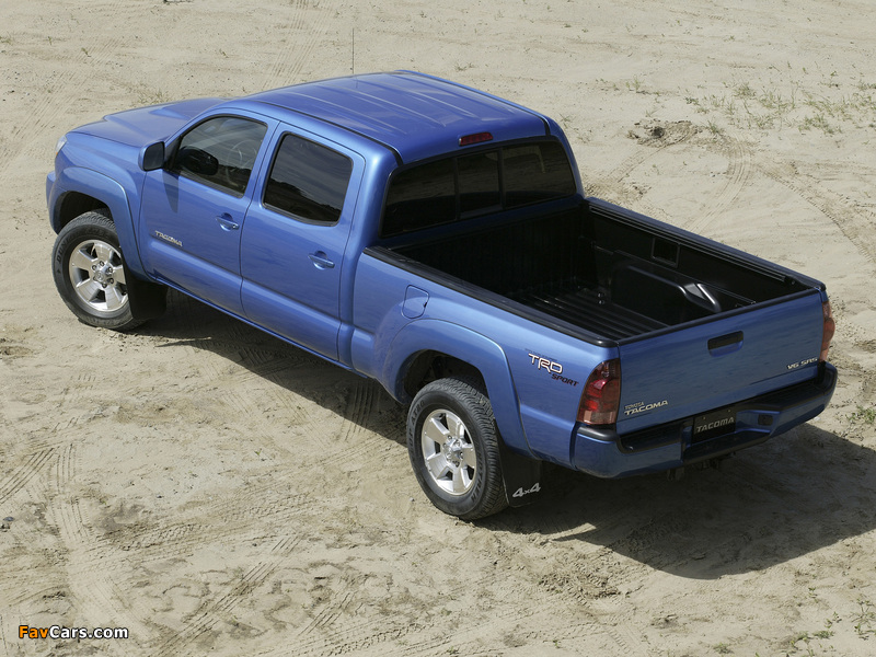 Pictures of TRD Toyota Tacoma Double Cab Sport Edition 2006–12 (800 x 600)