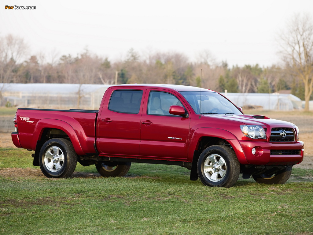 Pictures of TRD Toyota Tacoma Double Cab Sport Edition 2006–12 (1024 x 768)