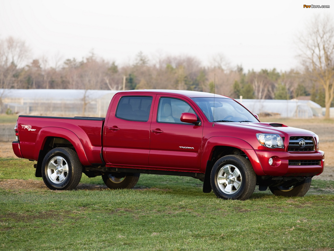 Pictures of TRD Toyota Tacoma Double Cab Sport Edition 2006–12 (1280 x 960)