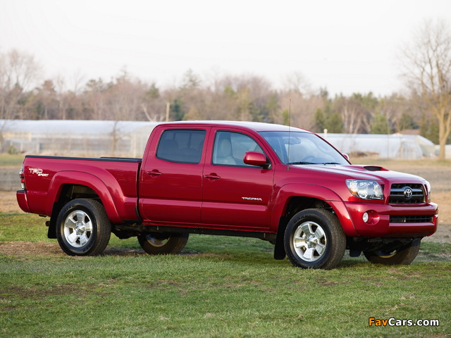 Pictures of TRD Toyota Tacoma Double Cab Sport Edition 2006–12 (640 x 480)