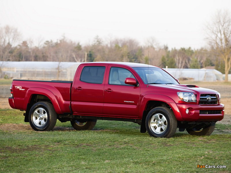 Pictures of TRD Toyota Tacoma Double Cab Sport Edition 2006–12 (800 x 600)
