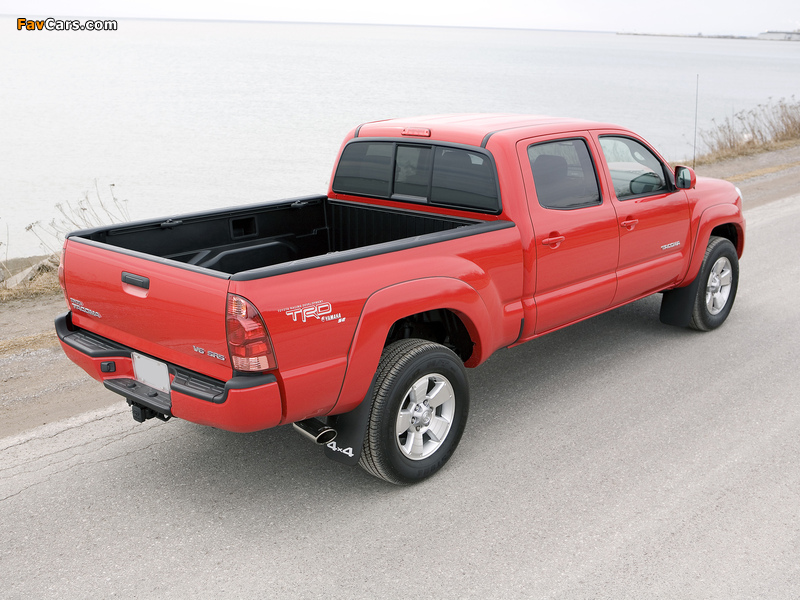 TRD Toyota Tacoma Double Cab Sport Edition 2006–12 photos (800 x 600)