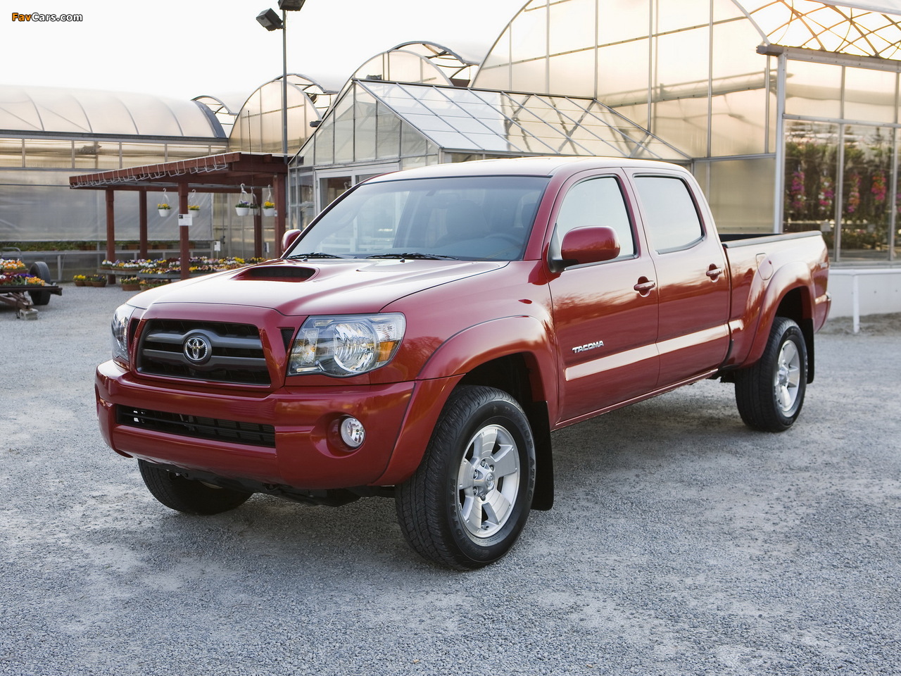TRD Toyota Tacoma Double Cab Sport Edition 2006–12 pictures (1280 x 960)