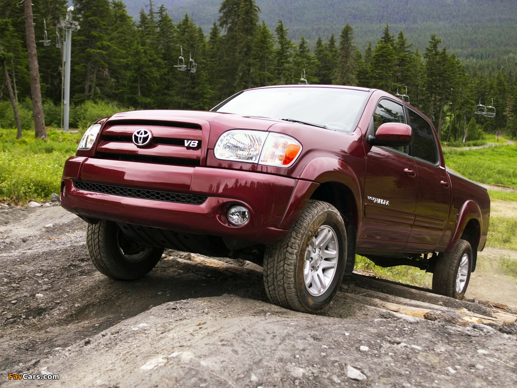 Photos of Toyota Tundra Double Cab Limited 2003–06 (1024 x 768)