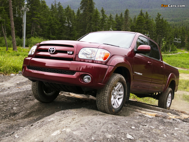 Photos of Toyota Tundra Double Cab Limited 2003–06 (800 x 600)