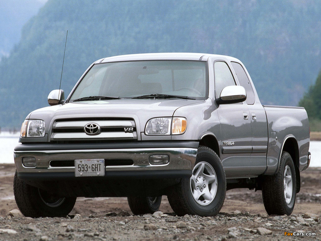 Toyota Tundra Access Cab SR5 2003–06 pictures (1024 x 768)