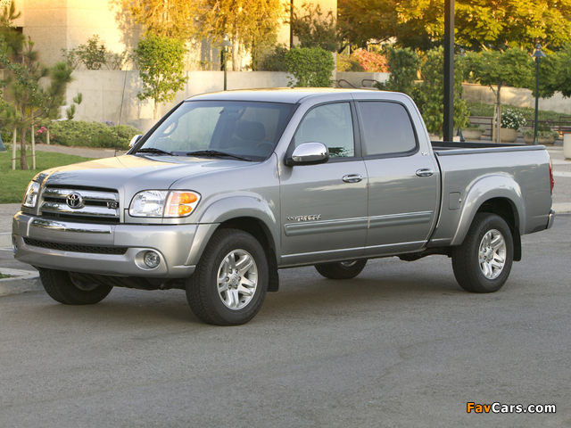 Toyota Tundra Double Cab SR5 2003–06 pictures (640 x 480)