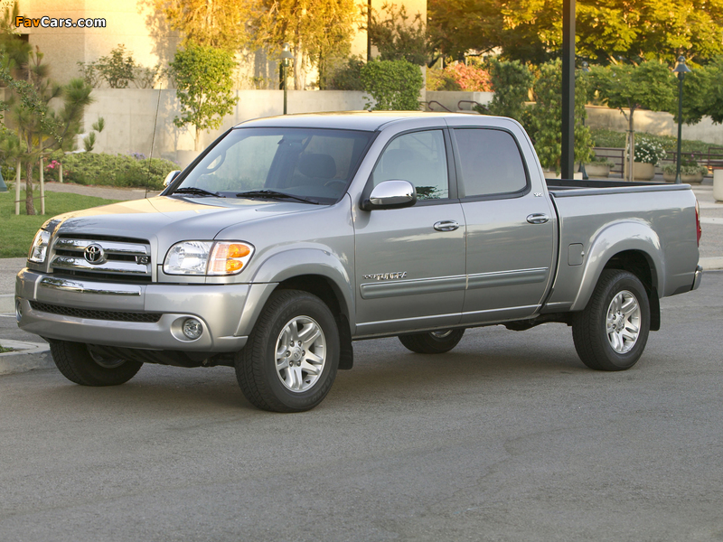 Toyota Tundra Double Cab SR5 2003–06 pictures (800 x 600)