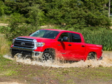 TRD Toyota Tundra CrewMax SR5 2013 pictures