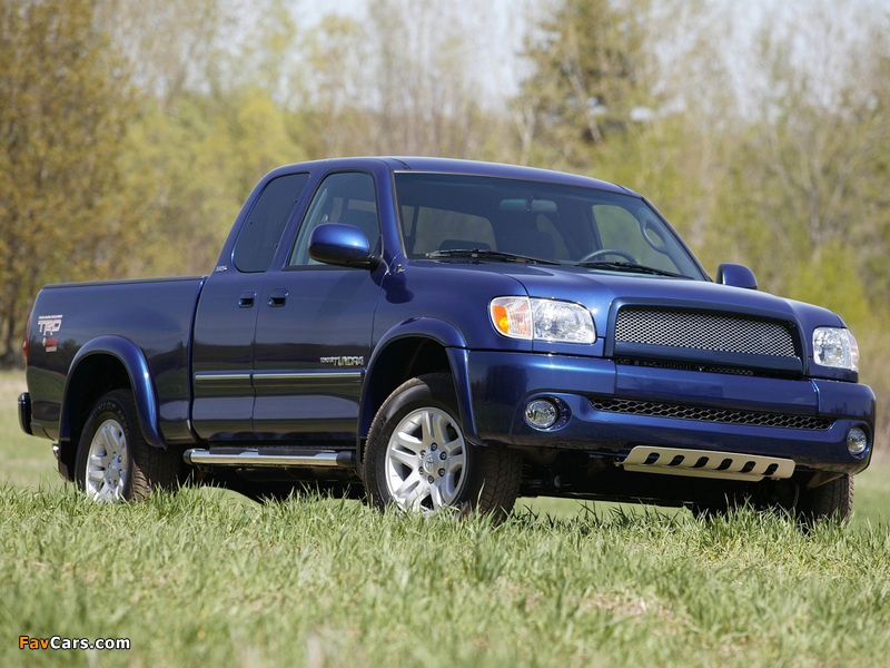 TRD Toyota Tundra Access Cab SR5 Yamaha Edition 2003 wallpapers (800 x 600)