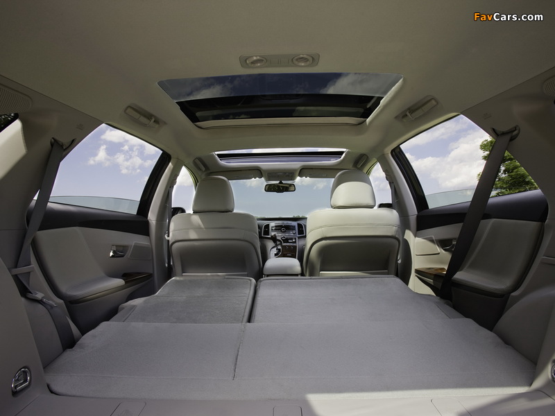 Images of Toyota Venza 2008 (800 x 600)