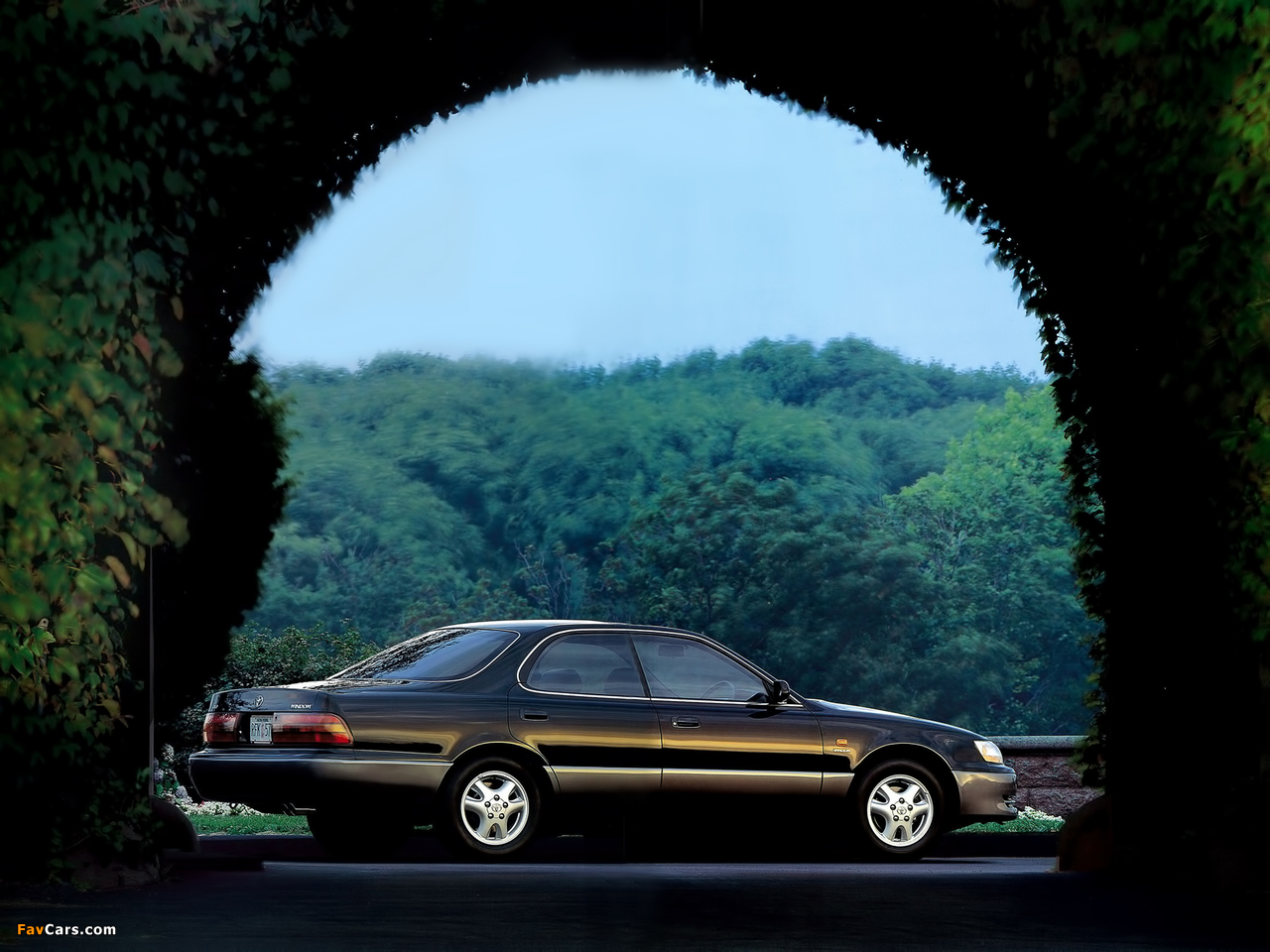 Images of Toyota Windom (V10) 1991–96 (1280 x 960)
