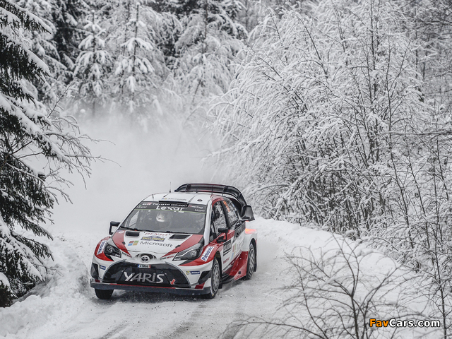 Toyota Yaris WRC (XP130) 2017 images (640 x 480)