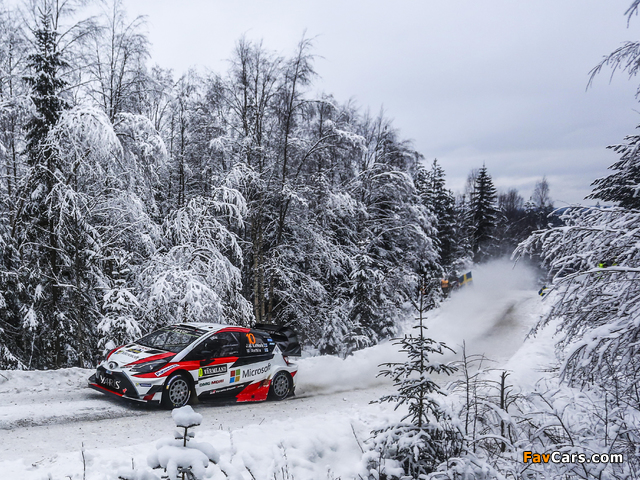 Toyota Yaris WRC (XP130) 2017 photos (640 x 480)