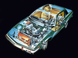 Triumph TR7 1974–81 images