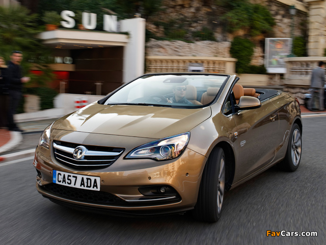 Images of Vauxhall Cascada 2013 (640 x 480)