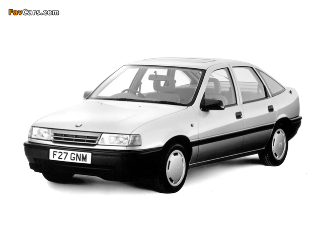Images of Vauxhall Cavalier L Hatchback 1988–92 (640 x 480)