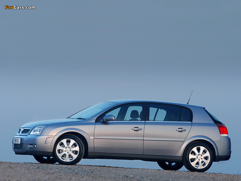 Vauxhall Signum 2003–05 photos (800 x 600)